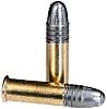 .22 Rimfire